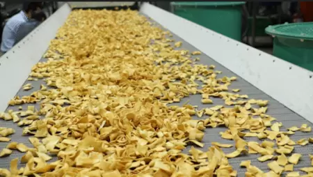 Noodle Snack Production Line
